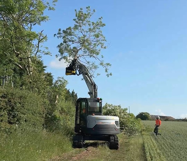 ash die back work using machinery